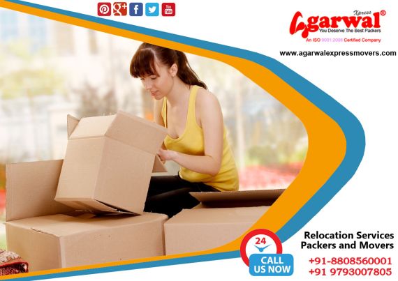Packing and Moving Solutions Indira Nagar