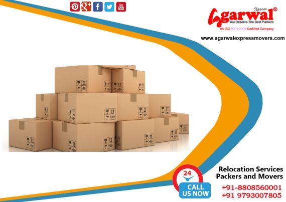 Packing and Moving Services Auraiya