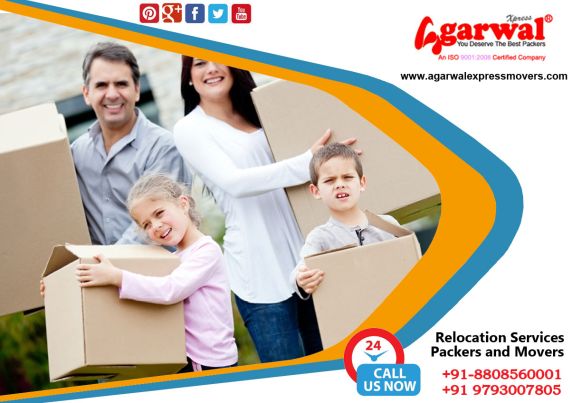 Packing and Moving Solutions Renukoot