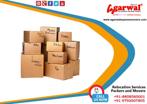 Packing and Moving Solutions in Farrukhabad