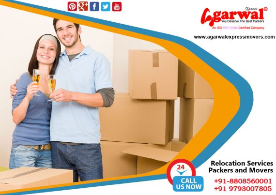 Packing and Moving Solutions