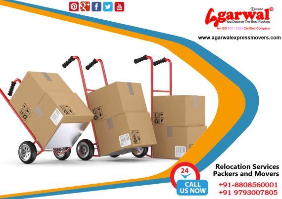 Packing and Moving Solutions in Delhi