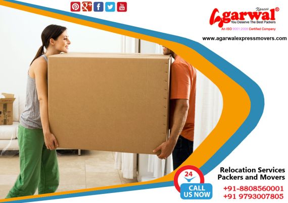 Packing and Moving Services