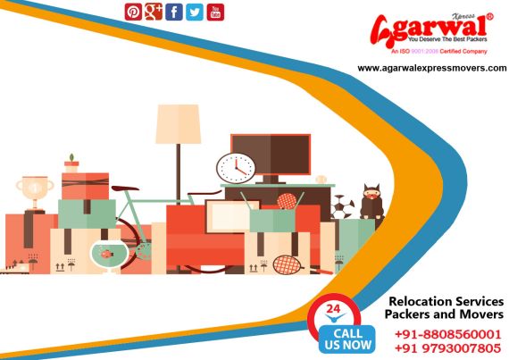 Packing and Moving Services Vikas Nagar