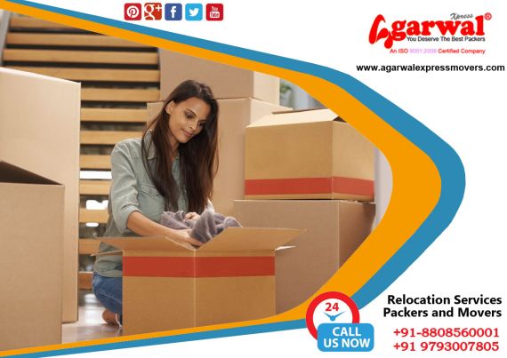 Packing and Moving Services Waidhan