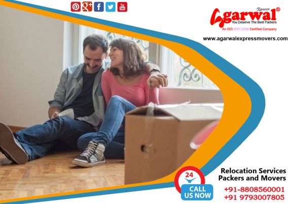 Packing and Moving Solutions Waidhan